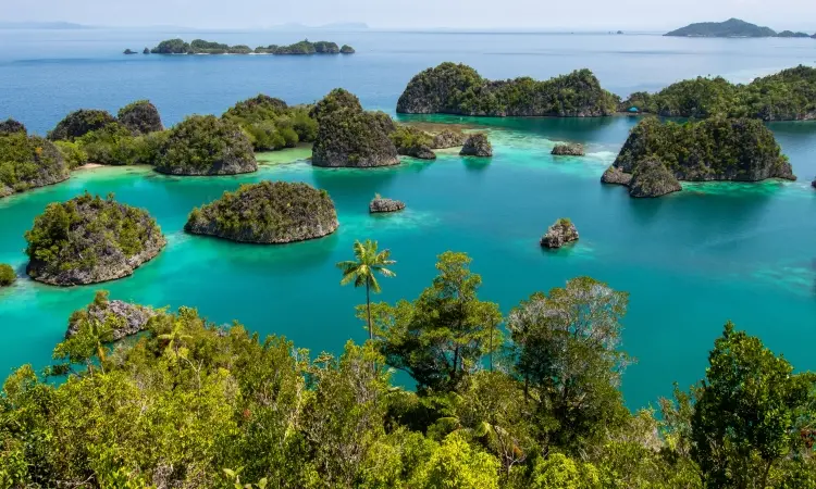 Tempat Wisata di Raja Ampat yang Paling Populer & Menarik Dikunjungi